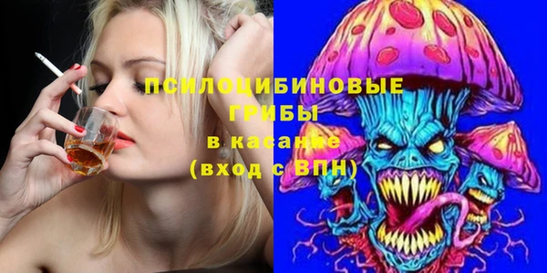 spice Белокуриха