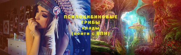 крисы Белоозёрский